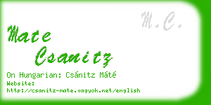 mate csanitz business card